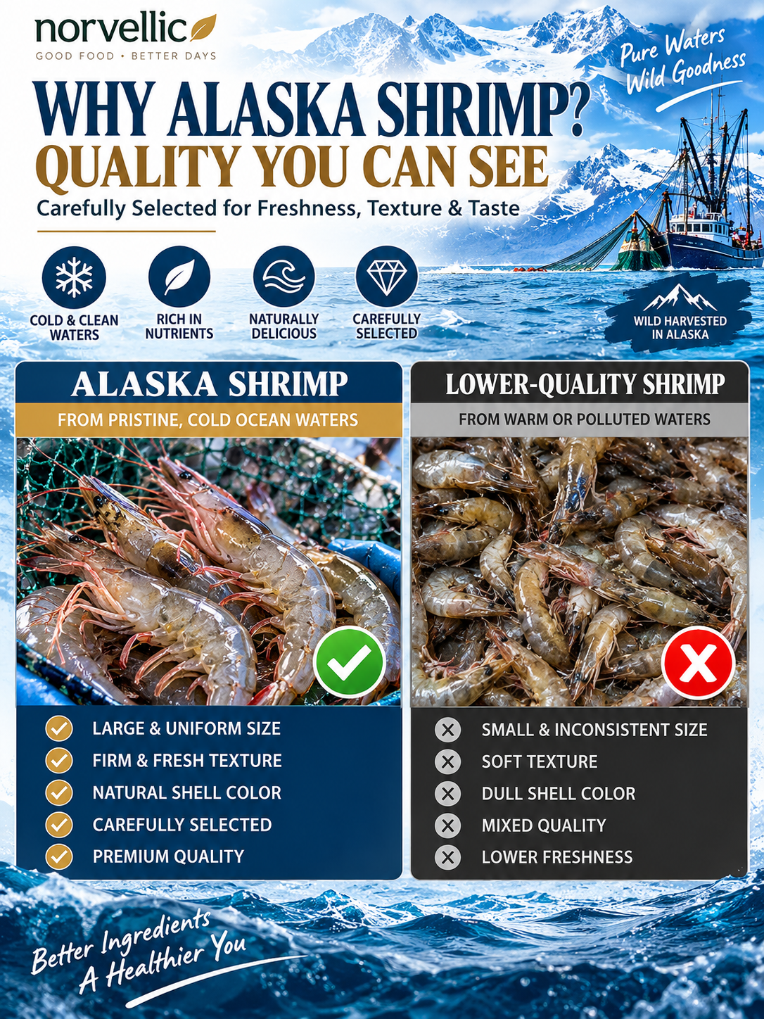 🦐CRISPY WHOLE SHRIMP | Light, Crunchy & Savory | Irresistible Ready-to-Eat Seafood Snack